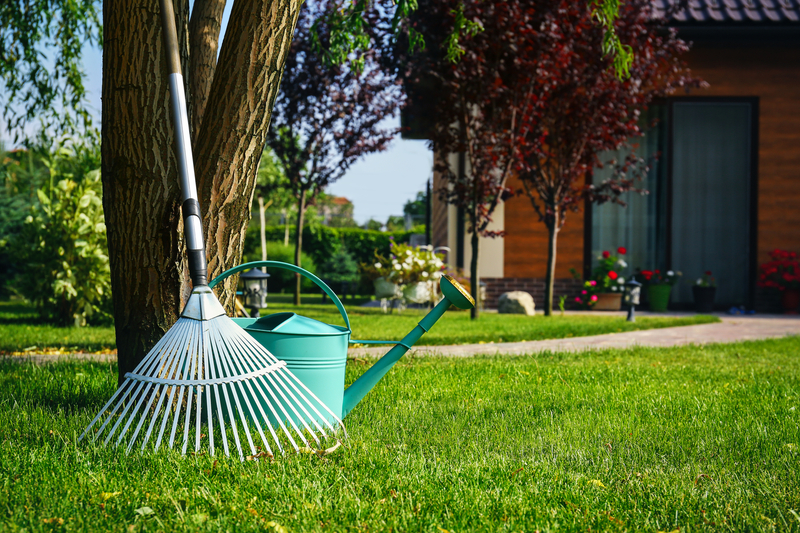 Tips for Spring Lawn Care